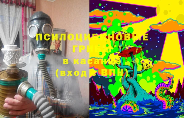 PSILOCYBIN Новодвинск