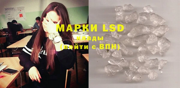 PSILOCYBIN Новодвинск