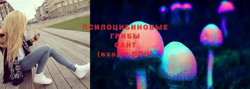 продажа наркотиков  Микунь  Псилоцибиновые грибы Psilocybine cubensis 